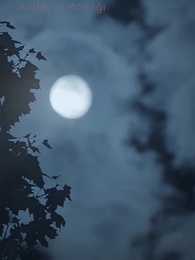 Bölüm 46 - CEO'nun Mucize Bebeği