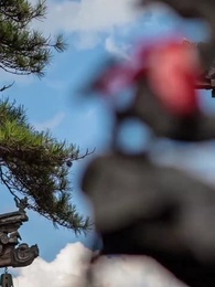 第6話 - 月明かりに 照らされてない愛