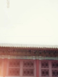 43화 - 달빛이 머문 혼례