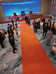 That 'Nobody' Has a Body Count - Episode 49