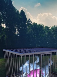 Sessiz Çiçek ve Alfalar - Episode 98