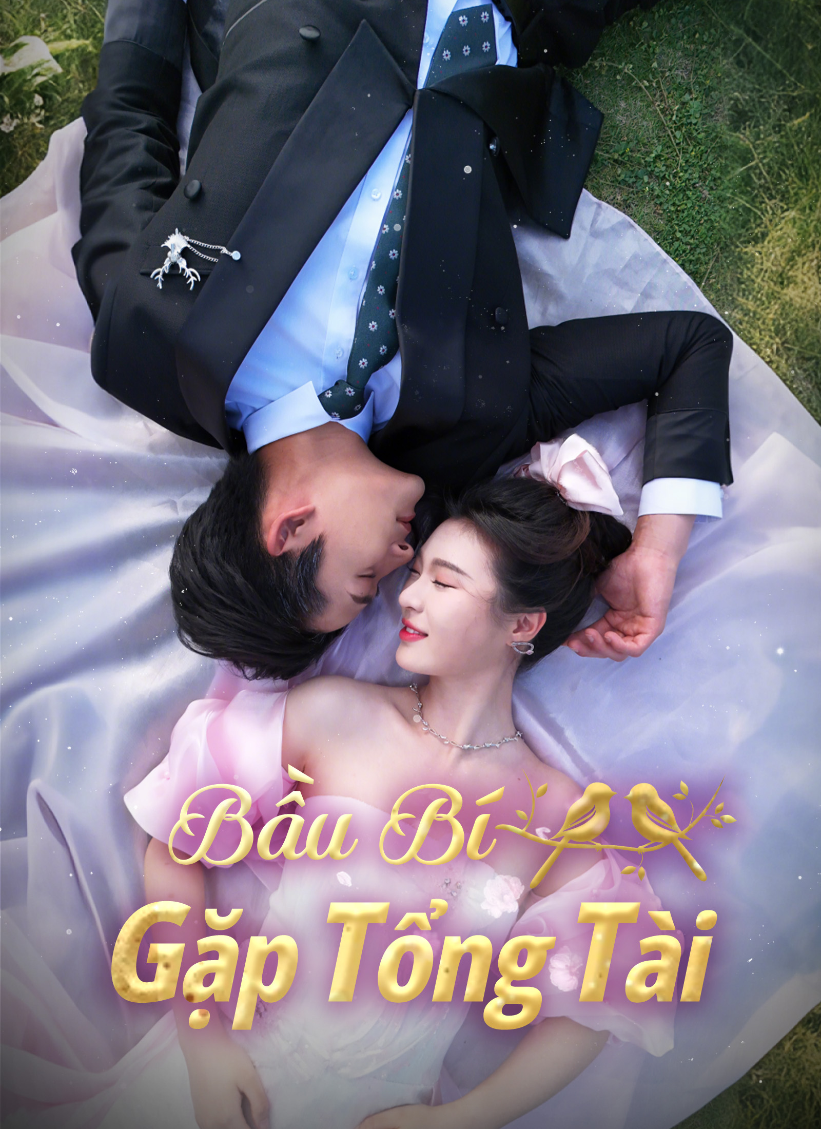 Bầu Bí Gặp Tổng Tài