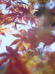 Ölümsüzlük Yolunda - Episode 2