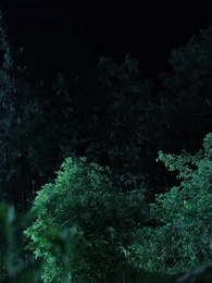 ฟ้าประทานพร - Episode 1