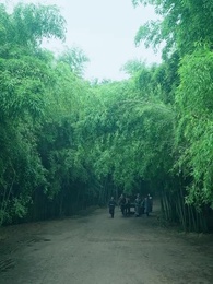 第74集 - 無敵小縣令