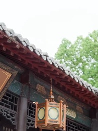 第54集 - 麒麟送子,天降喜福