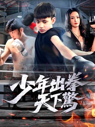 少年出拳天下驚