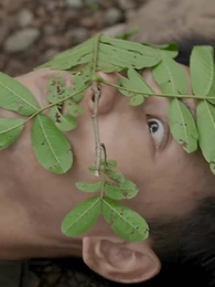 第2集 - 狂野小農民