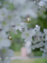 Sai Một Bước, Hại Một Đời - Episode 9