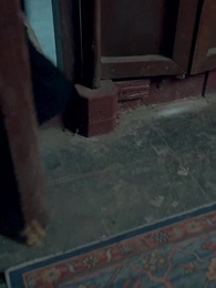 功德系統:我在古代當神醫 - Episode 36