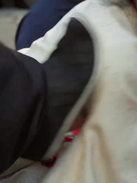 ตอนที่ 64 - ฟ้าประทานพร