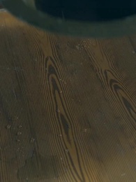 功德系統:我在古代當神醫 - Episode 74