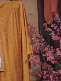 第74集 - 回到古代奪皇位