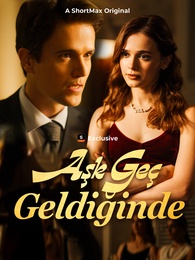 Aşk Geç Geldiğinde