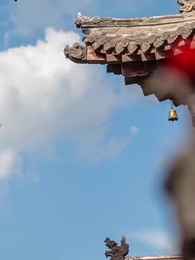 Episodio 4 - Amor Usurpado: el Error del Príncipe