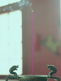 第28集 - 功德系統:我在古代當神醫