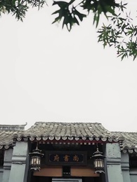 Episodio 12 - Amor Usurpado: el Error del Príncipe