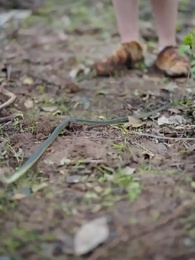 第48集 - 穿越蠻荒野人老公放肆寵