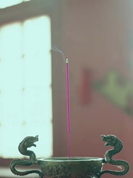 第29集 - 功德系統:我在古代當神醫