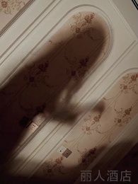 第56集 - 貶值之美女主播愛上我