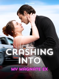 Crashing into My Magnate Ex