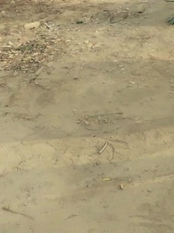 El Quebradioses - Episode 8