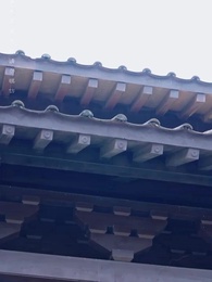 第63集 - 權寵天下:醫妃要休夫