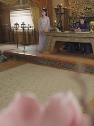 第48集 - 報告王爺，王妃是鳳女