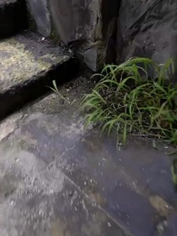 第87集 - 絕世神監