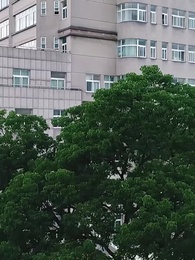 第57集 - 絕世龍帥