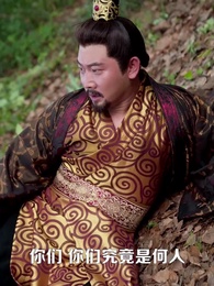 鳳舞九天 - Episode 33