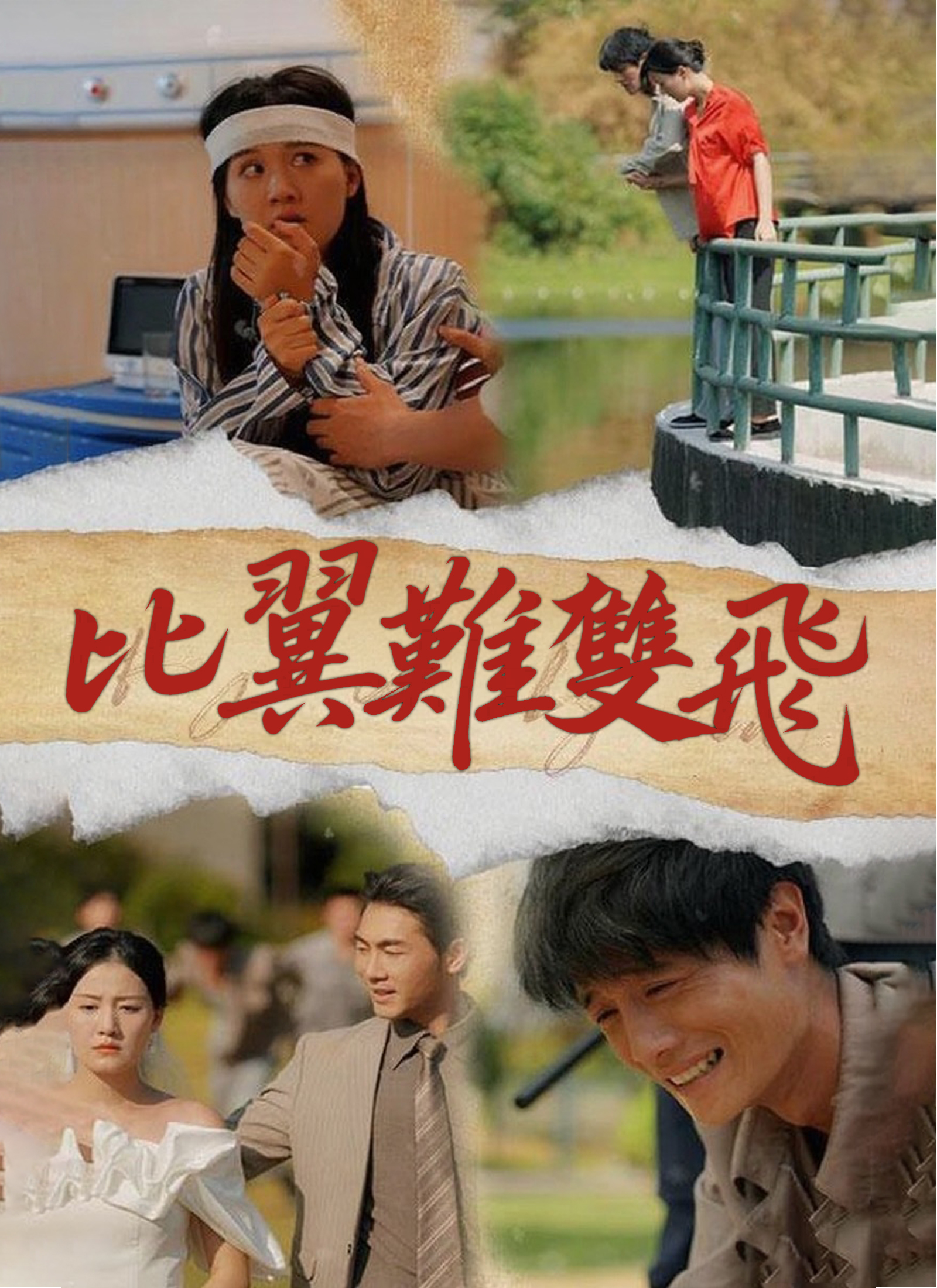 《比翼難雙飛》封面