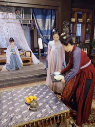 第80集 - 權寵天下:醫妃要休夫