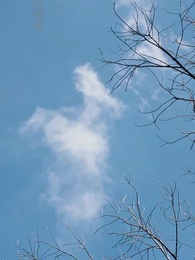 第31集 - 昭昭殊榮