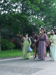 第68集 - 鳳舞九天