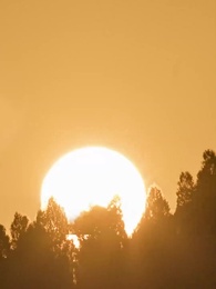 Bölüm 11 - Zeka Engelli Koca, 100 Milyar Zengin