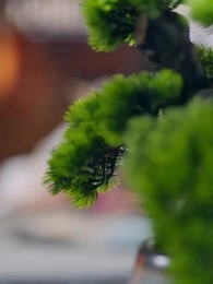 Trọng Sinh Làm Vương Phi: Cân Cả Giang Sơn - Episode 5