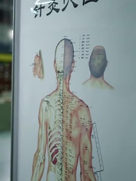 換專業後，山海不相逢 - Episode 14