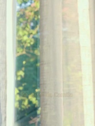 Natal com a Herdeira - Episode 26