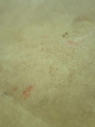 [Dublajlı]Ejderhanın Peşinde: Kararsız Kılıç - Episode 19