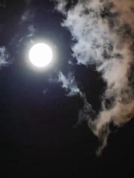 第16集 - 至尊潛龍