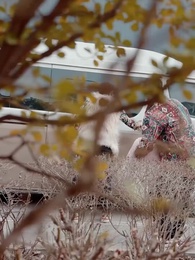 Épisode 12 - L'Empreinte du Destin