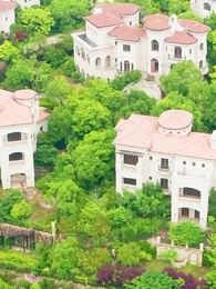 第1集 - 至尊潛龍