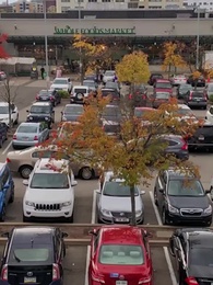 Episode 44 - Nie wieder dir gehören