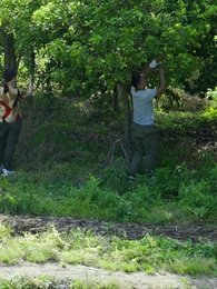 Campesino Salvaje - Episode 105