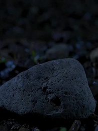 Episodio 1 - Campesino Salvaje