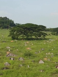 Episode 58 - Nie wieder dir gehören