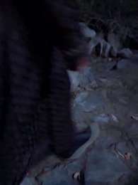 第10集 - 冷宮王妃不好惹