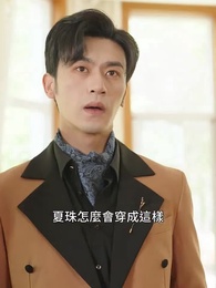 第33集 - 天降好孕,壹媽五寶四個爹