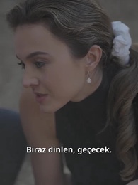 Bölüm 17 - Alfa'nın Evcilleştirme Rehberi